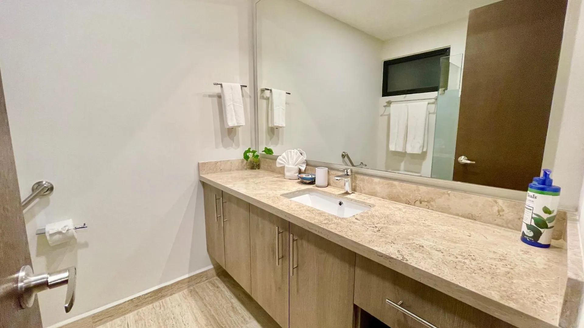 公寓式酒店 Syrena Condo Rentals 普拉亚卡门